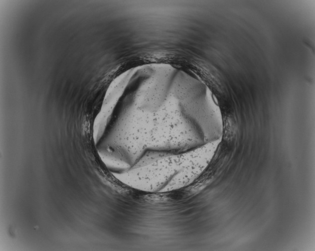 X0000097780284200804041220