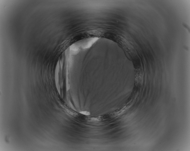 X0000097780285200804041220