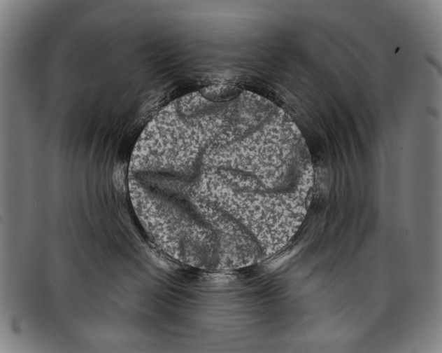 X0000097780286200804041220