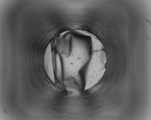 X0000097780288200804041220