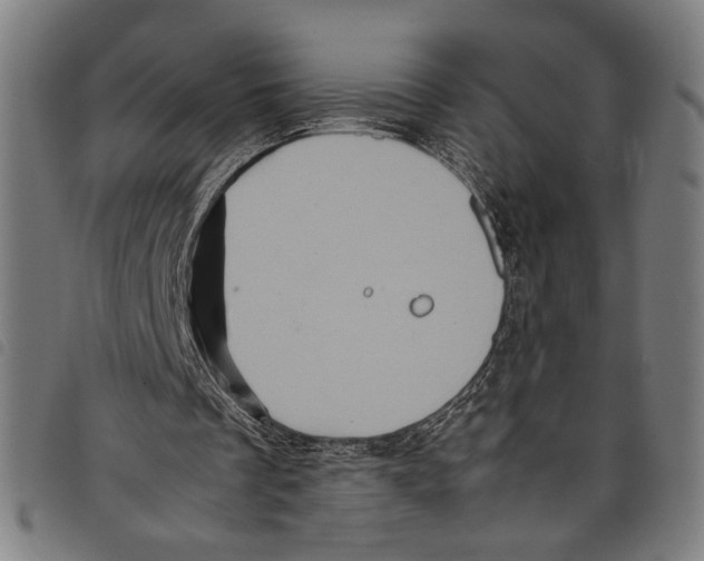 X0000097780289200804041220