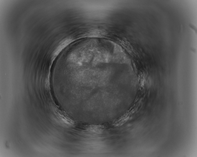 X0000097780292200804041220