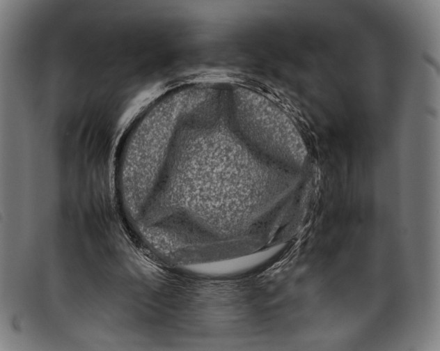 X0000097780296200804041220