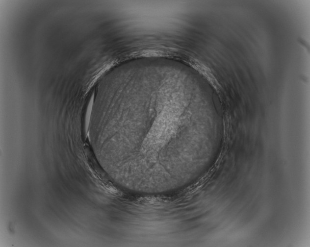 X0000097780297200804041220