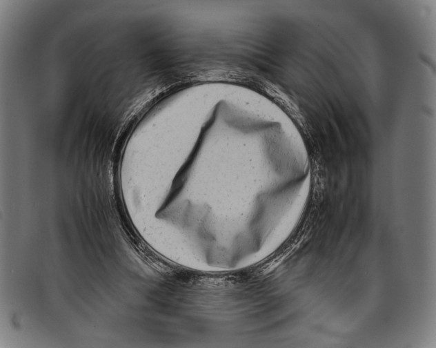 X0000097780298200804041220