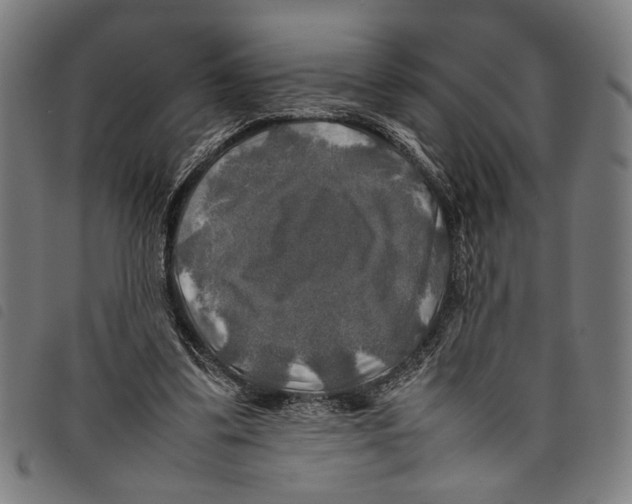 X0000097780299200804041220