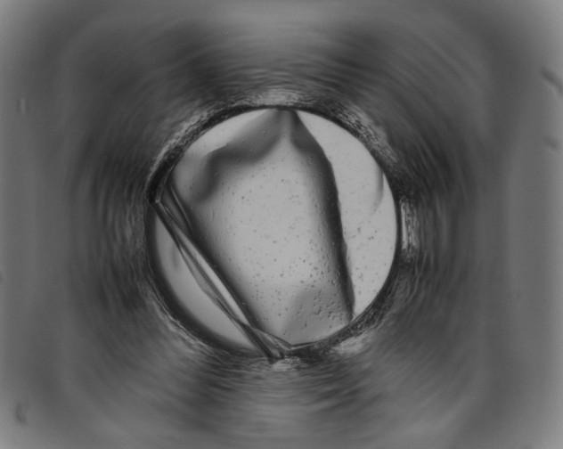 X0000097780300200804041220