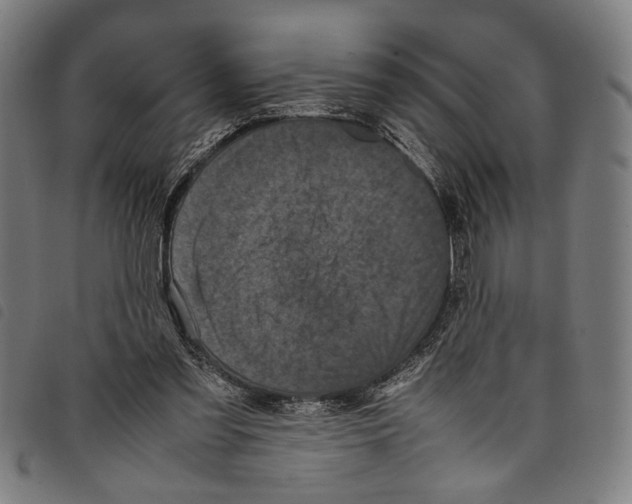 X0000097780301200804041220