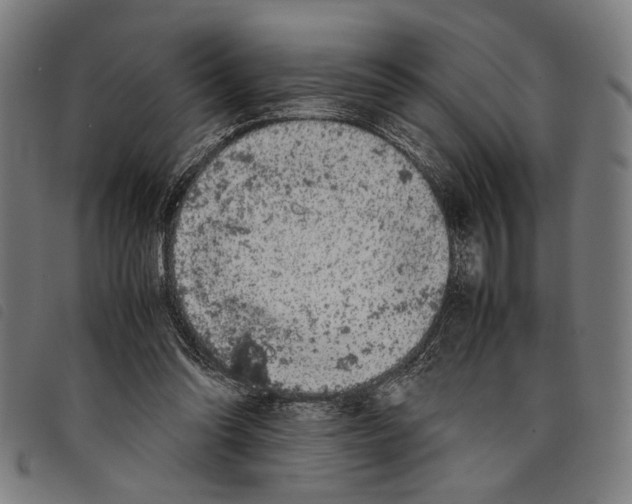 X0000097780302200804041220