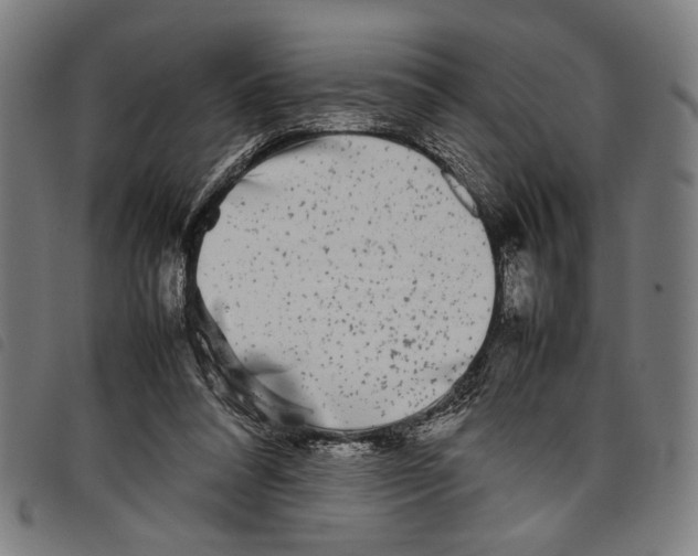 X0000097780304200804041220