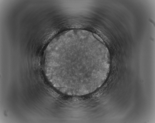 X0000097780305200804041219