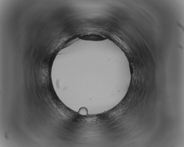 X0000097780306200804041219