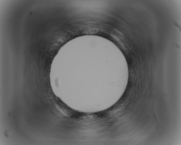 X0000097780307200804041219