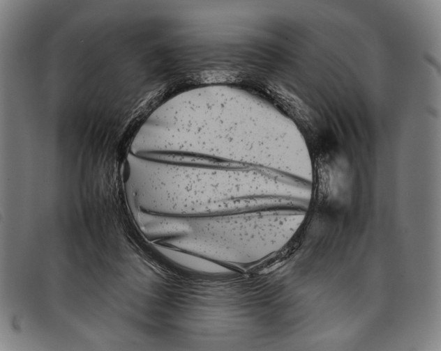 X0000097780308200804041219