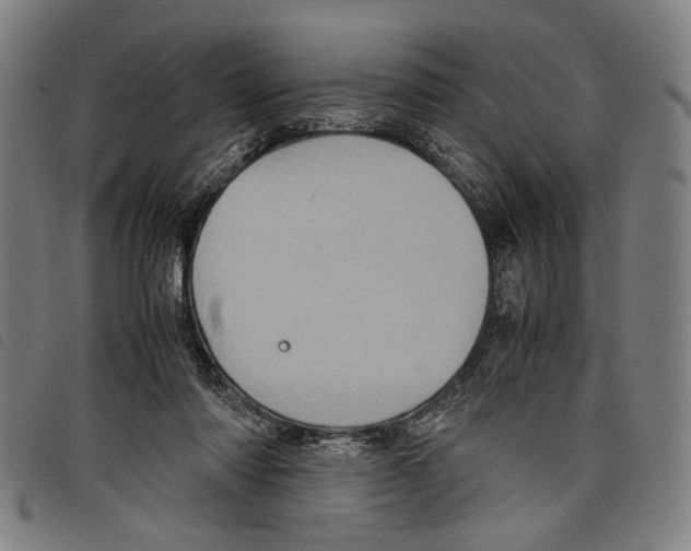 X0000097780310200804041219