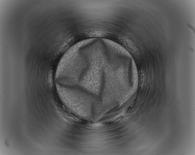 X0000097780312200804041219