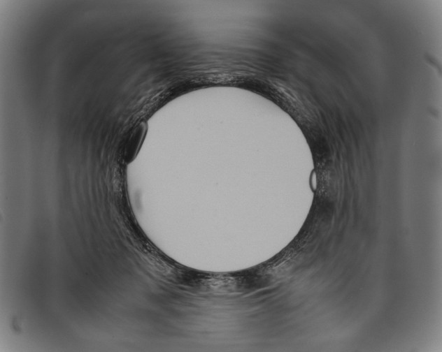 X0000097780317200804041219