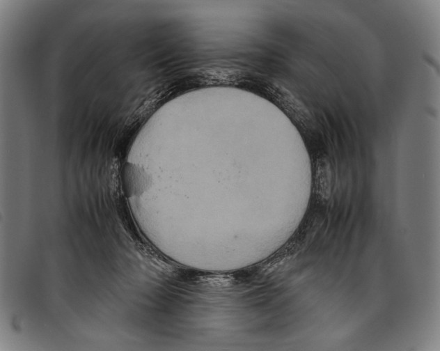 X0000097780318200804041219