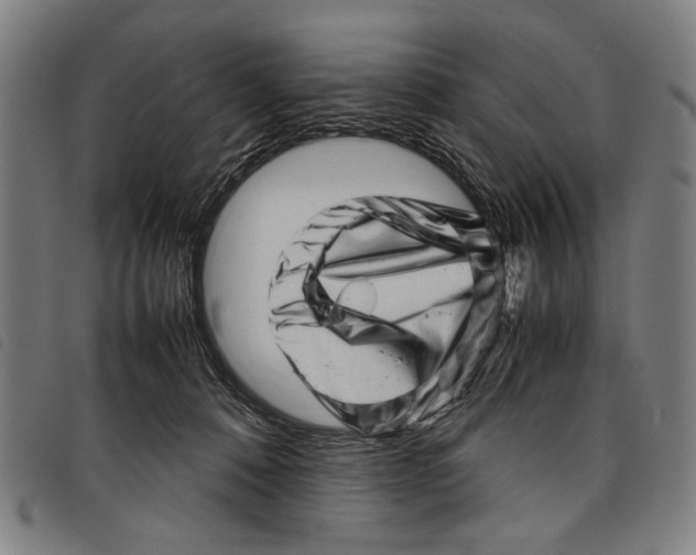 X0000097780320200804041219