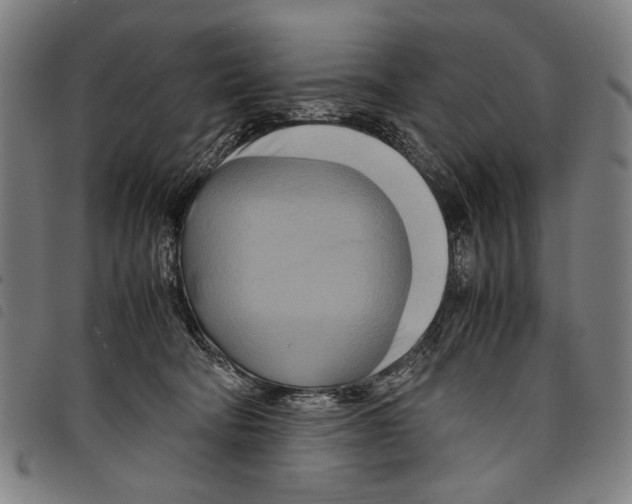 X0000097780322200804041219