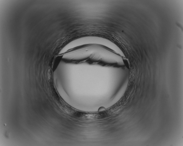 X0000097780323200804041219