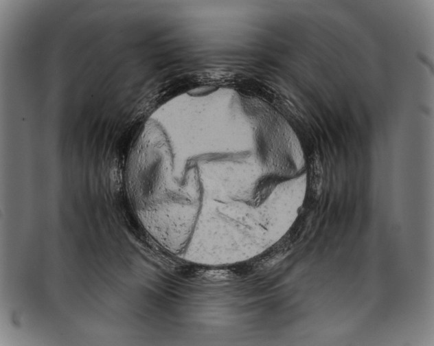 X0000097780324200804041219