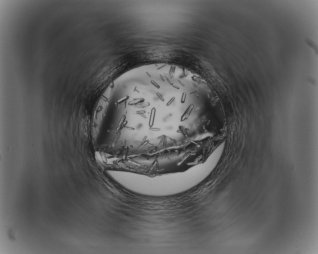 X0000097780325200804041219