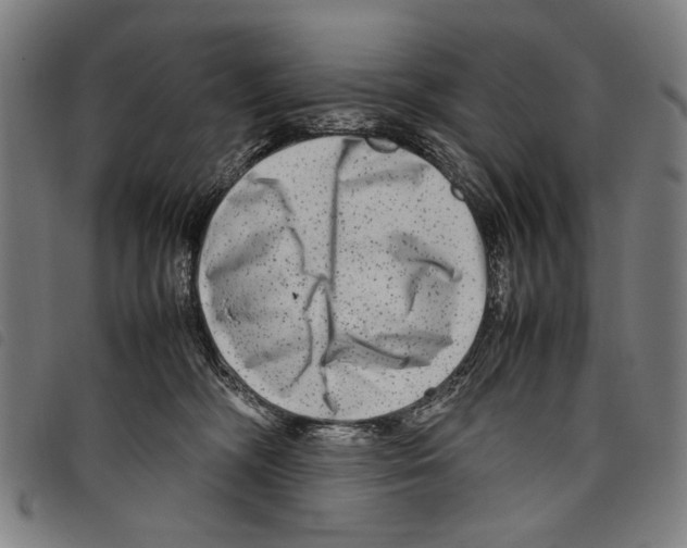 X0000097780326200804041219