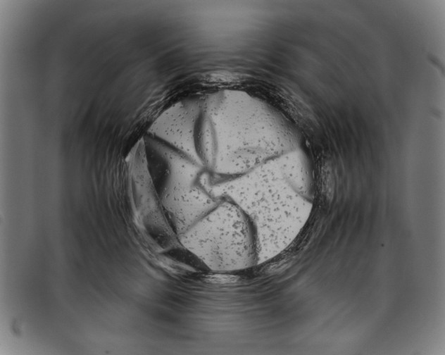 X0000097780328200804041219