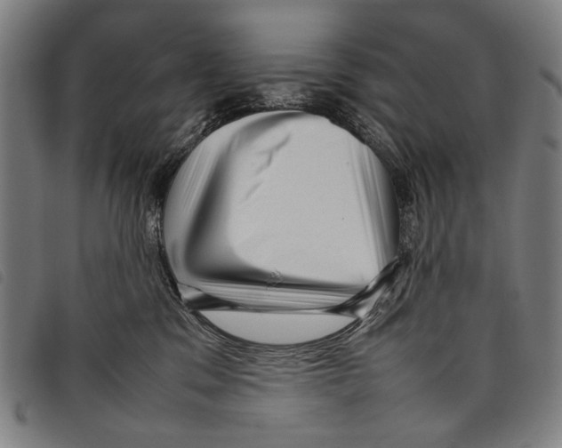 X0000097780329200804041219