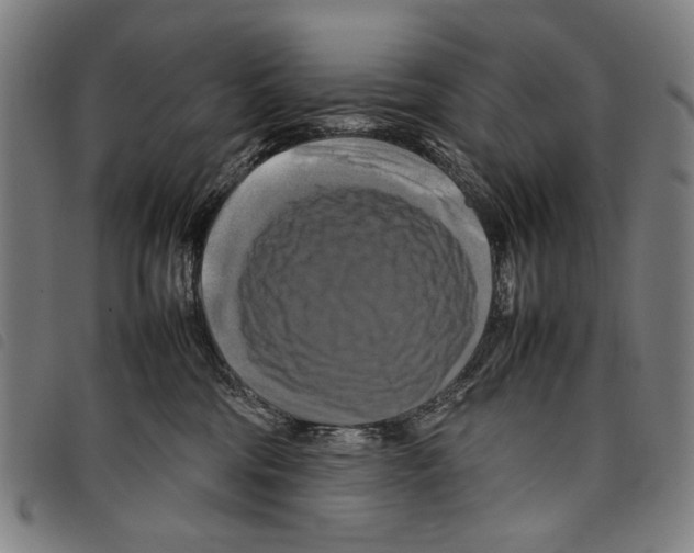 X0000097780330200804041219