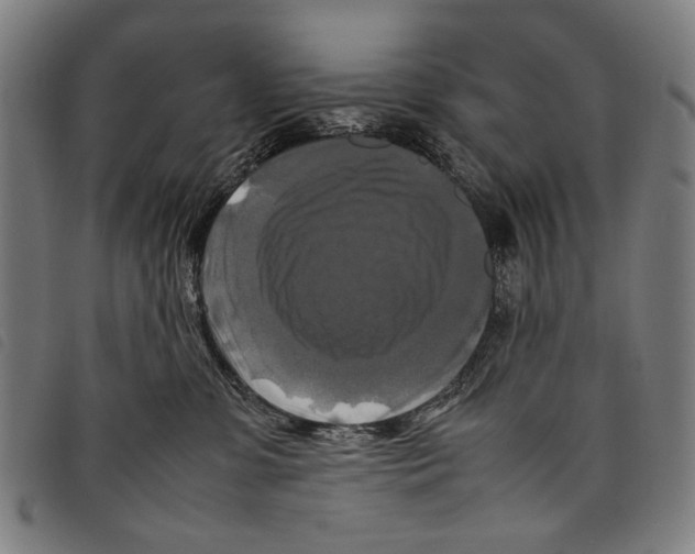 X0000097780331200804041219