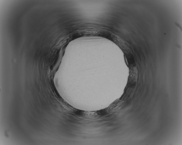 X0000097780333200804041219