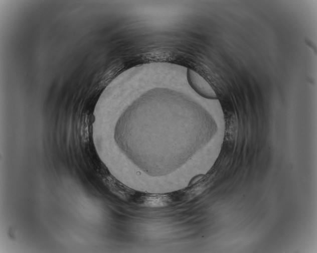 X0000097780334200804041219