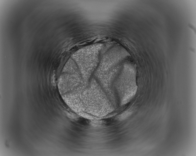 X0000097780336200804041219