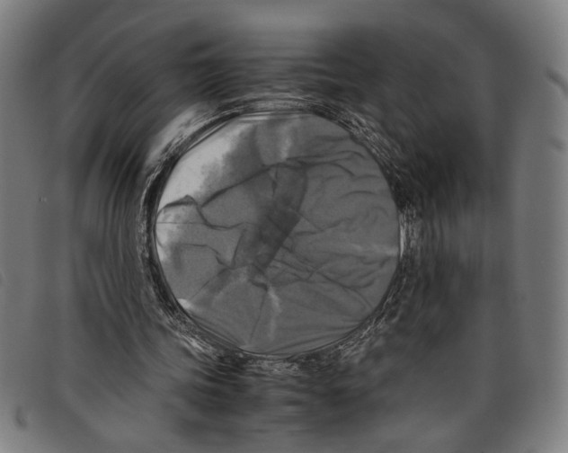 X0000097780339200804041218