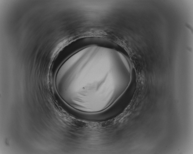 X0000097780340200804041218