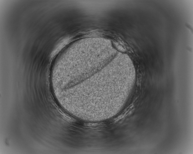 X0000097780341200804041218