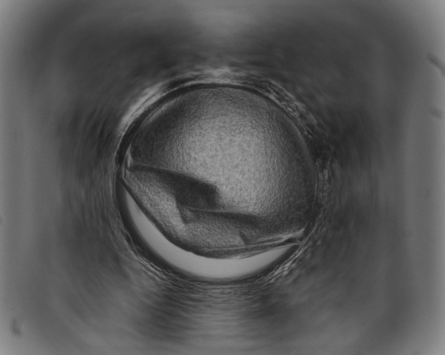 X0000097780344200804041218