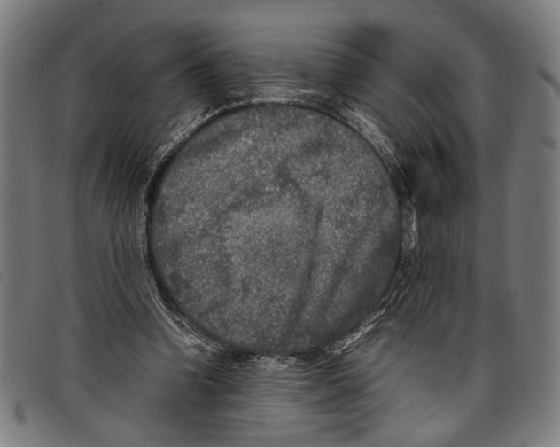 X0000097780346200804041219