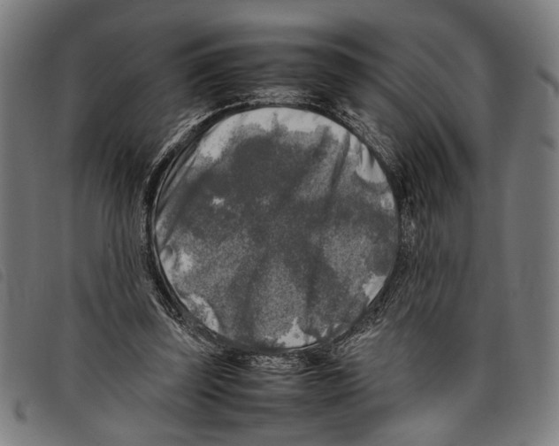 X0000097780347200804041219