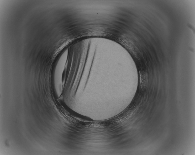 X0000097780348200804041219