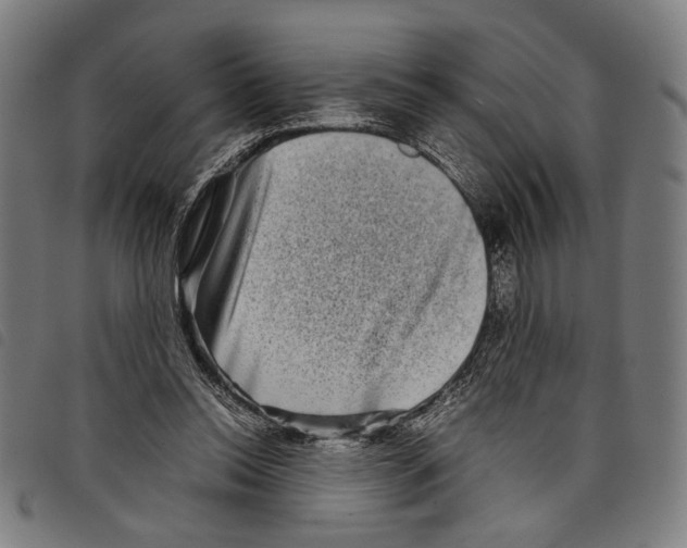 X0000097780350200804041219