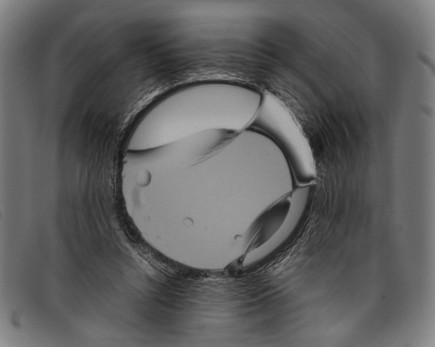 X0000097780352200804041219