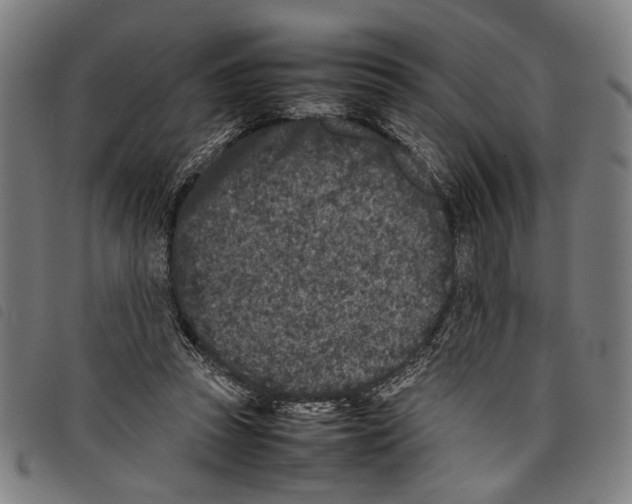 X0000097780353200804041219