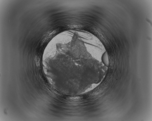 X0000097780357200804041219