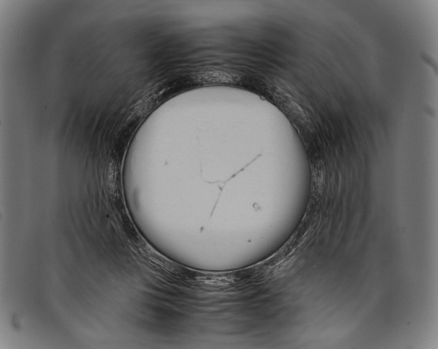 X0000097780359200804041219