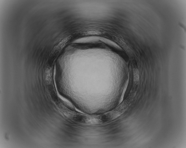 X0000097780360200804041219