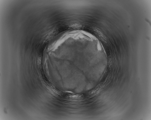 X0000097780365200804041219