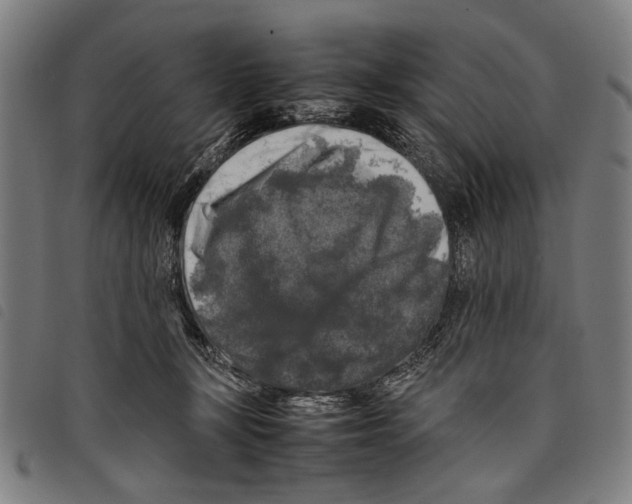 X0000097780367200804041219